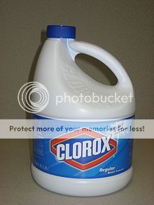 220px-Clorox_Bleach_Bottle.jpg
