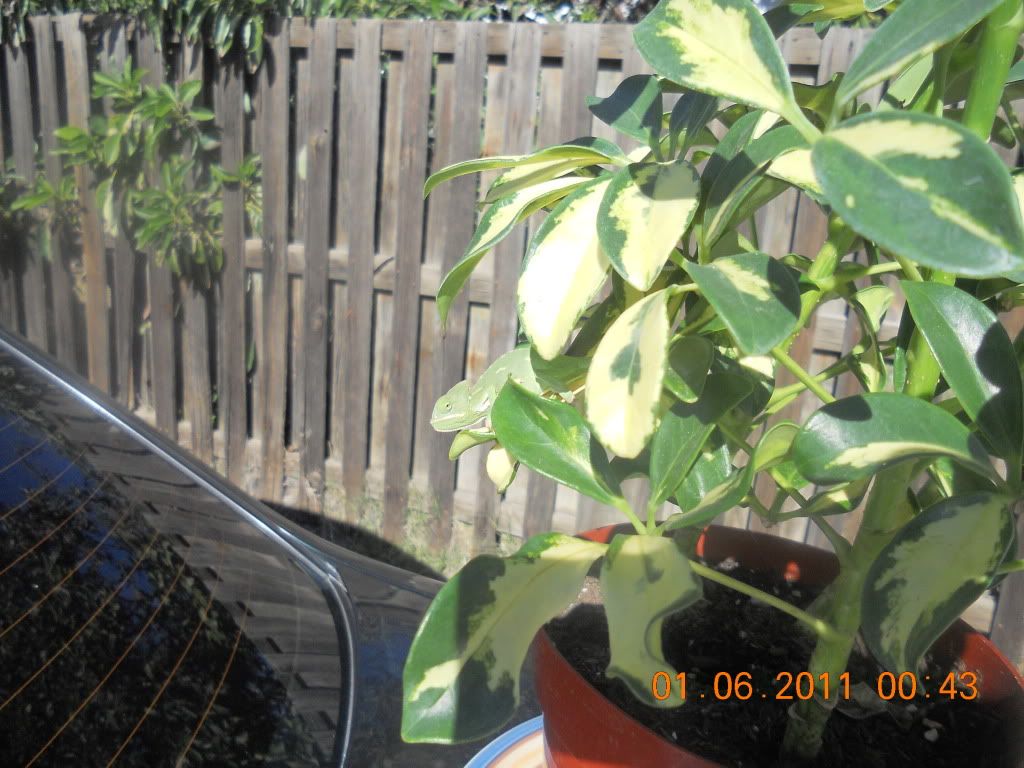 DSCN1223.jpg