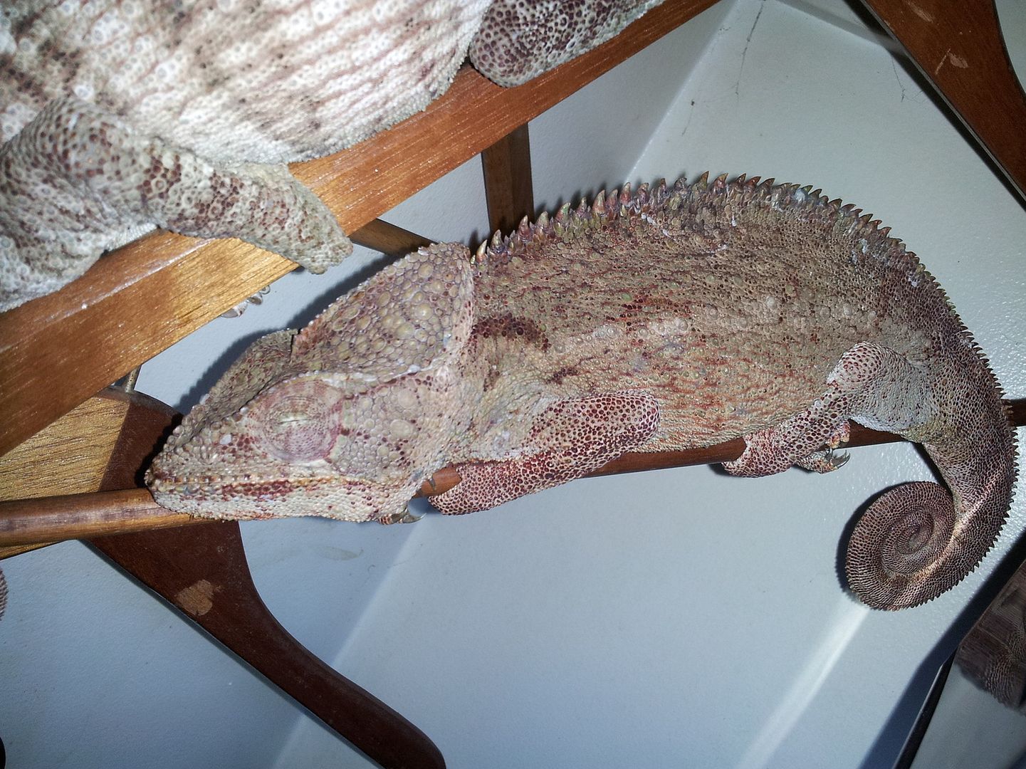 20120802_035325.jpg