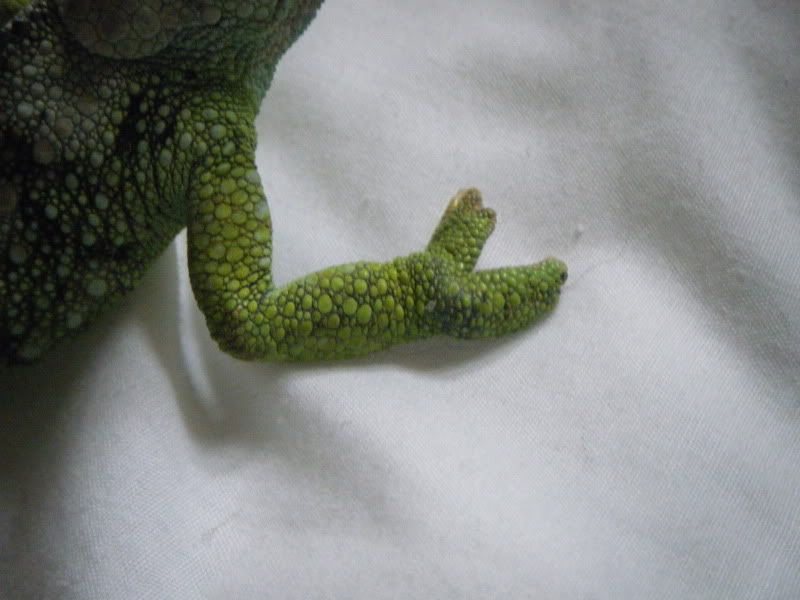 DSCF0735.jpg