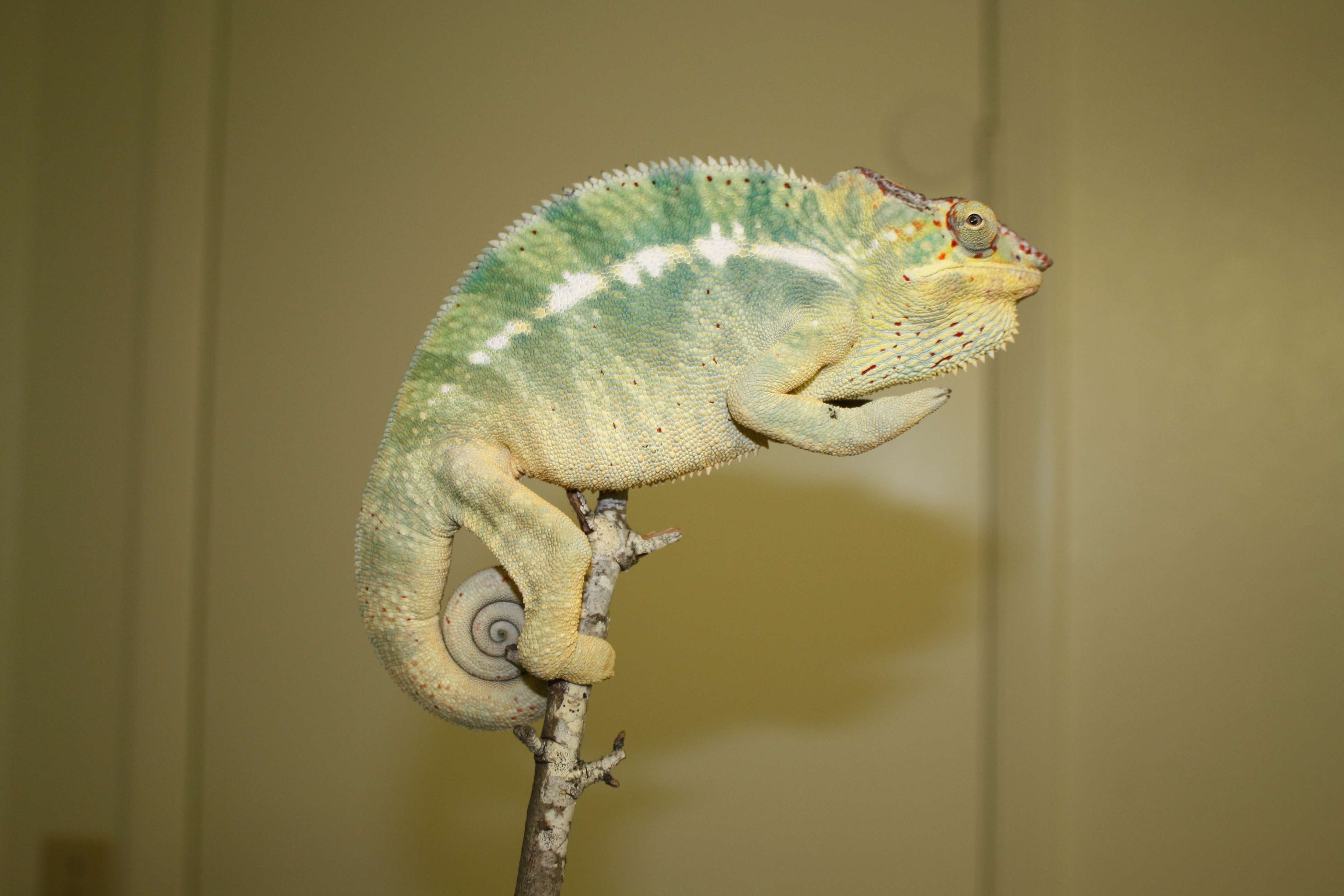 img3816f.jpg