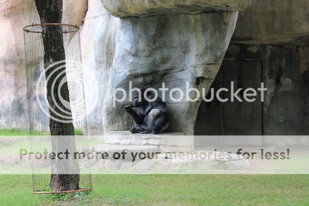 Dayattheftworthzoo001.jpg