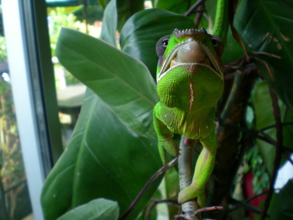 DSCN1175.jpg