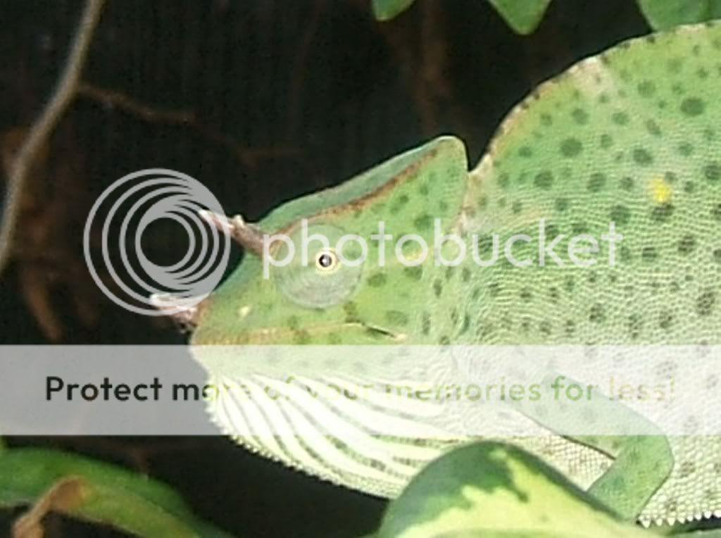 DSCF8629b.jpg