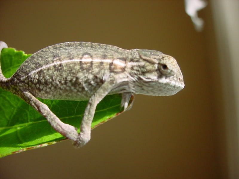 PicsSept508011.jpg
