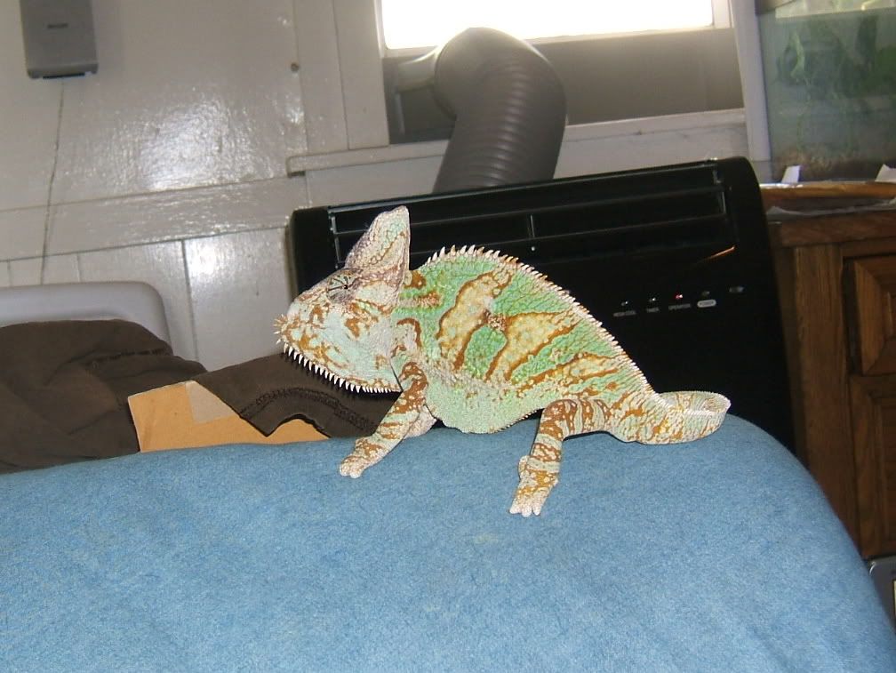 DSCF7551.jpg
