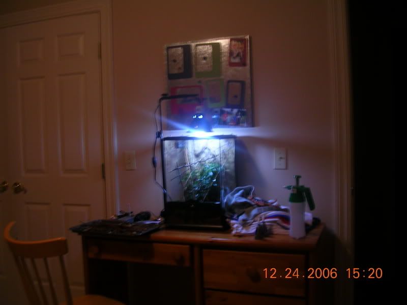 DSCN3399.jpg