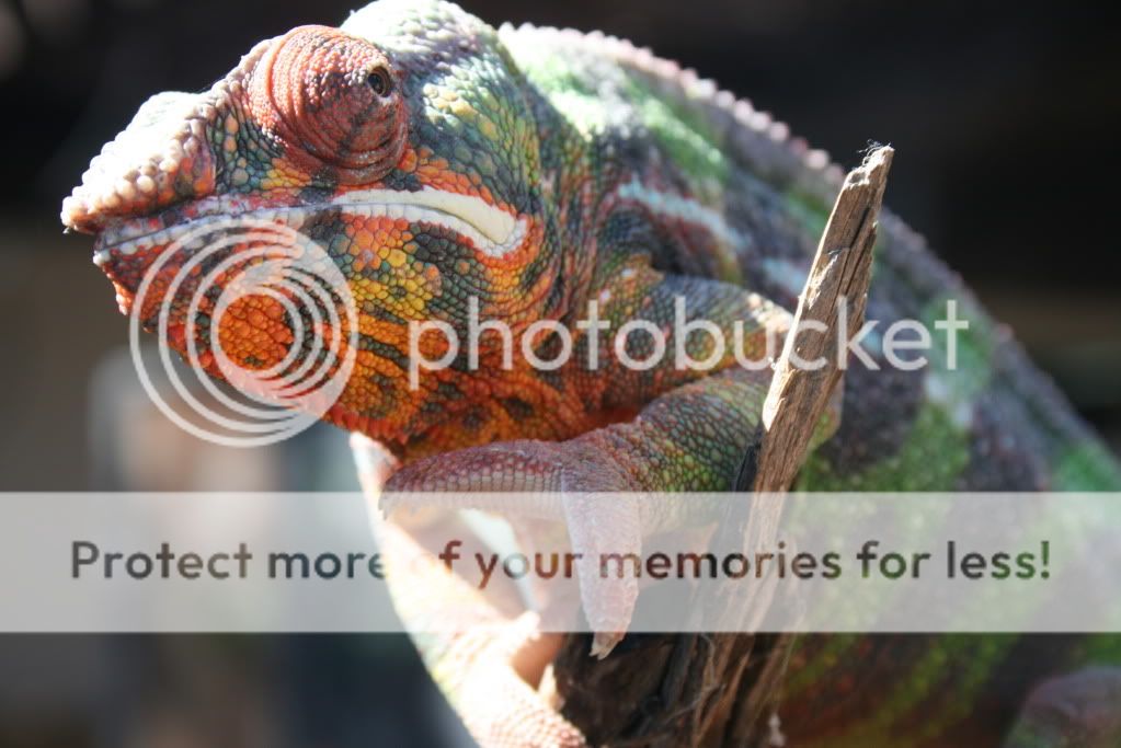 eospics9-19-09081.jpg