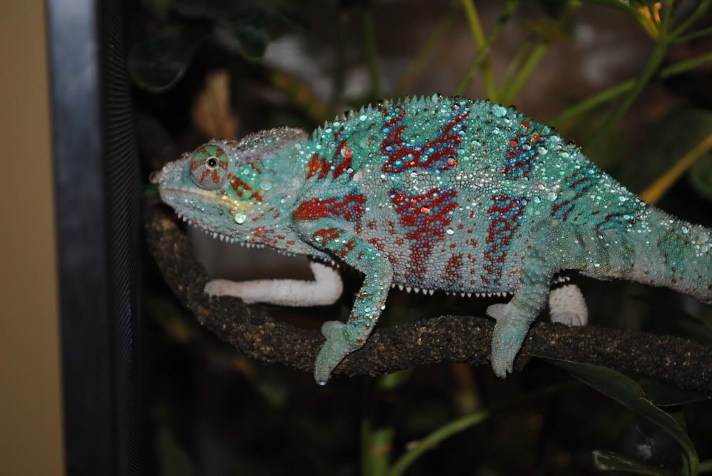 DSC_0664.jpg