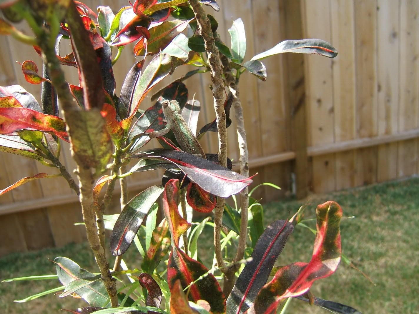 DSCF7283.jpg