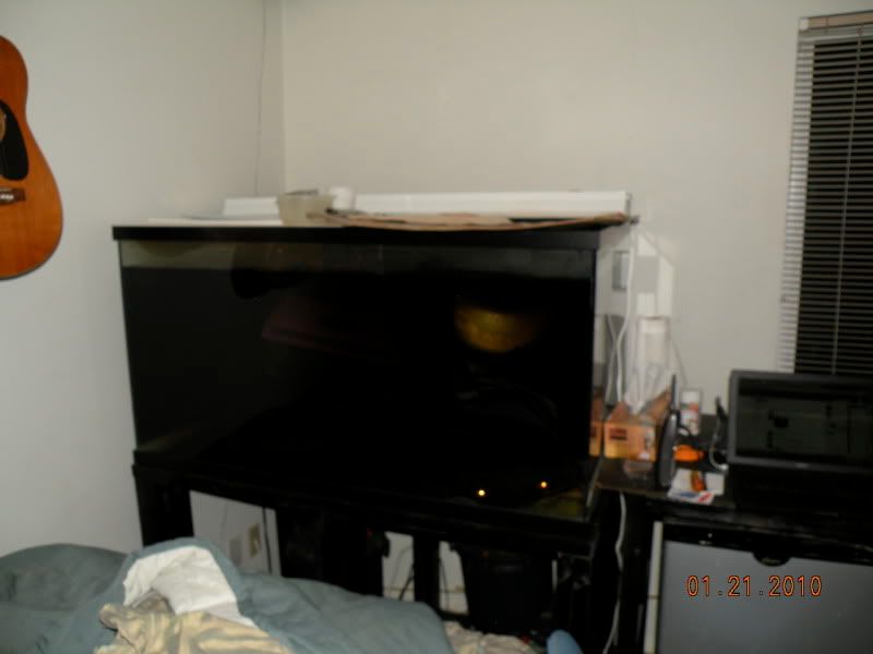 DSCN9712.jpg