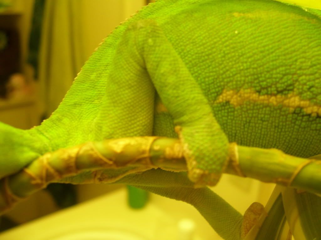 100_7132.jpg