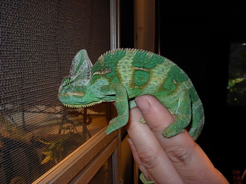 DSCN3178.jpg