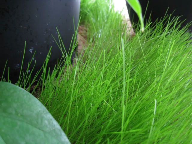 689f9191.jpg