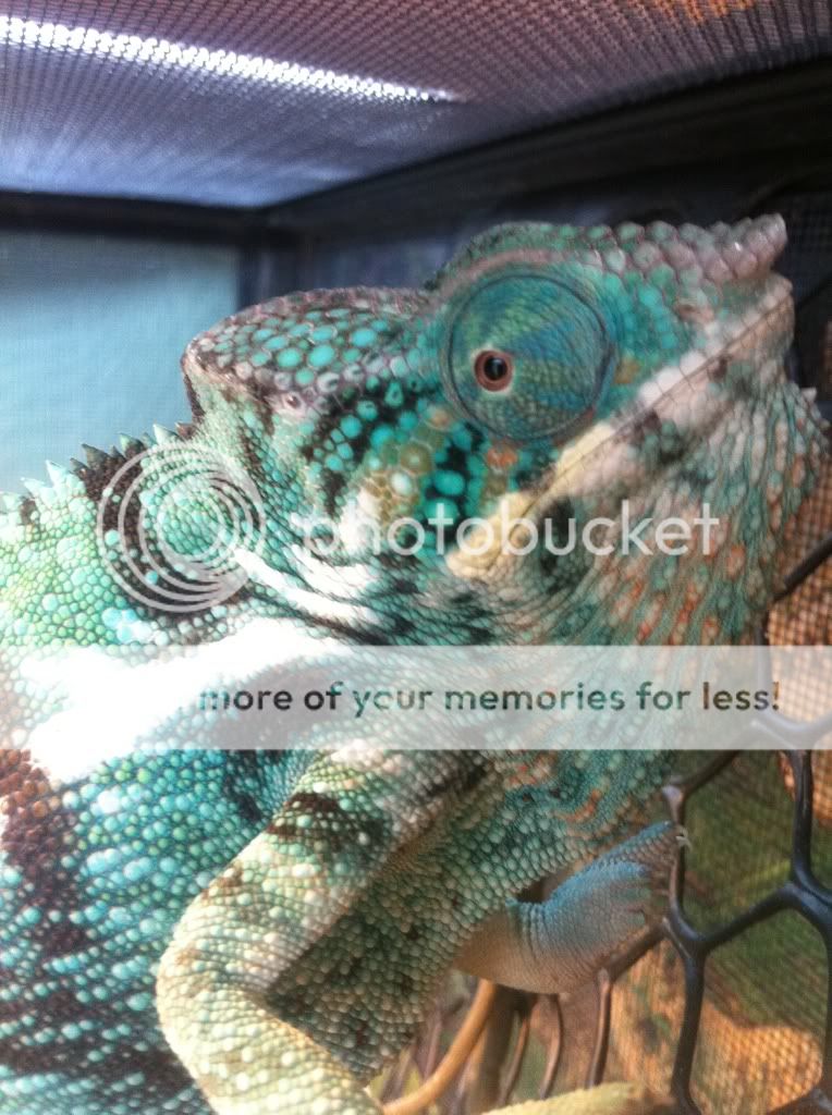 6c3fae1b.jpg