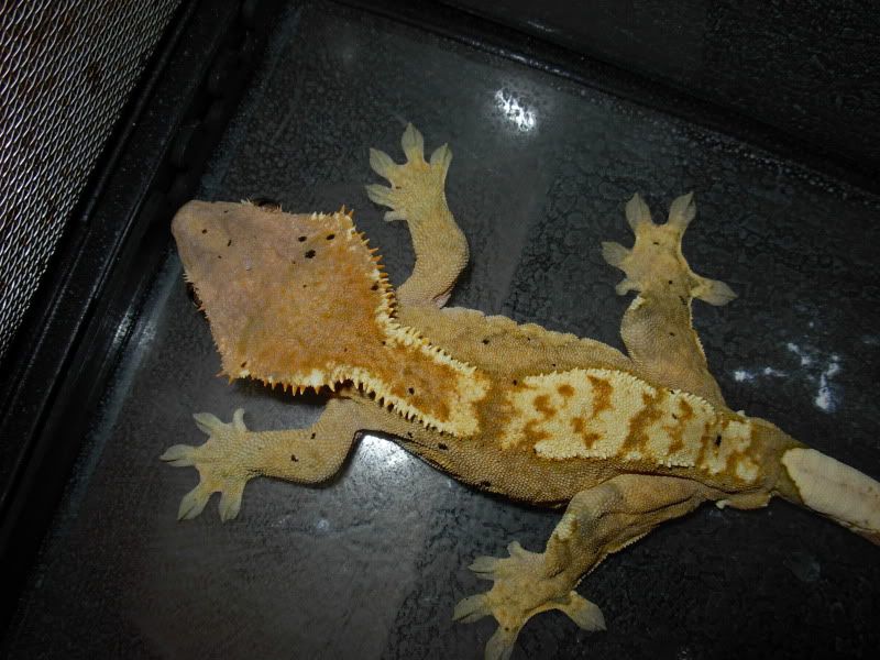 DSCN8496.jpg