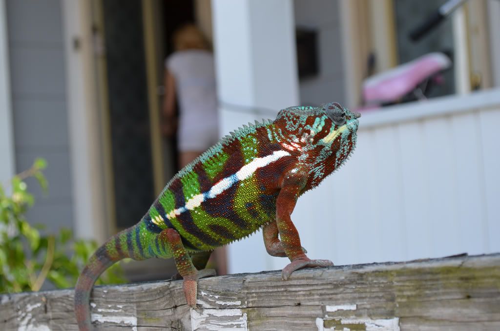 DSC_0060.jpg