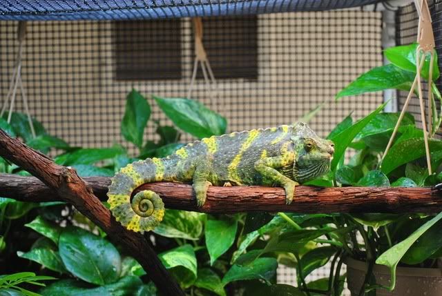 DSC_0161.jpg