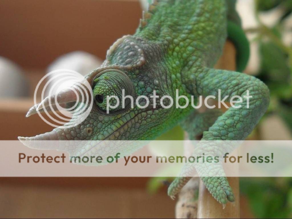 BestPhoto.jpg