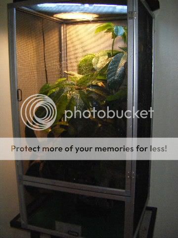 2009_05020025.jpg