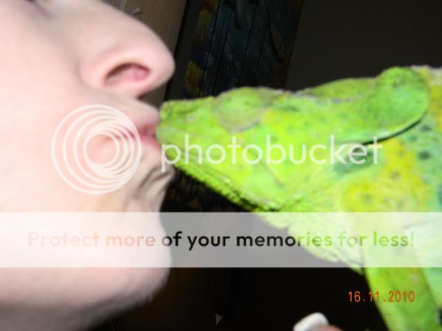 20101116_22.jpg