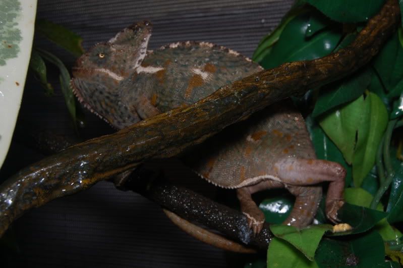 DSC_5383.jpg