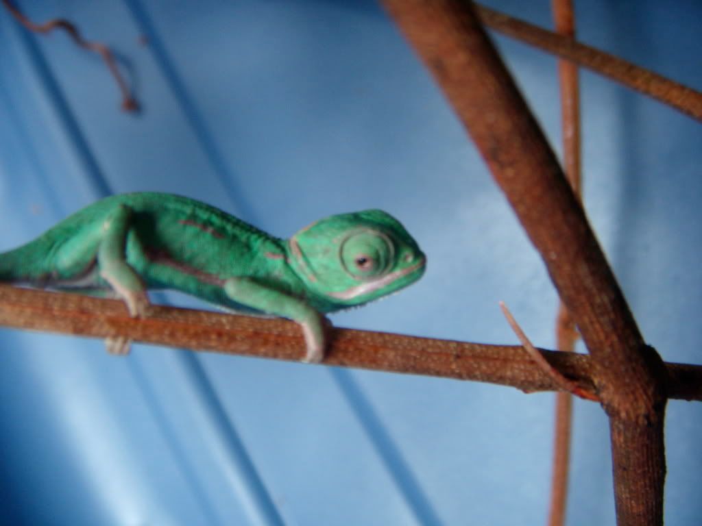DSCN1321.jpg