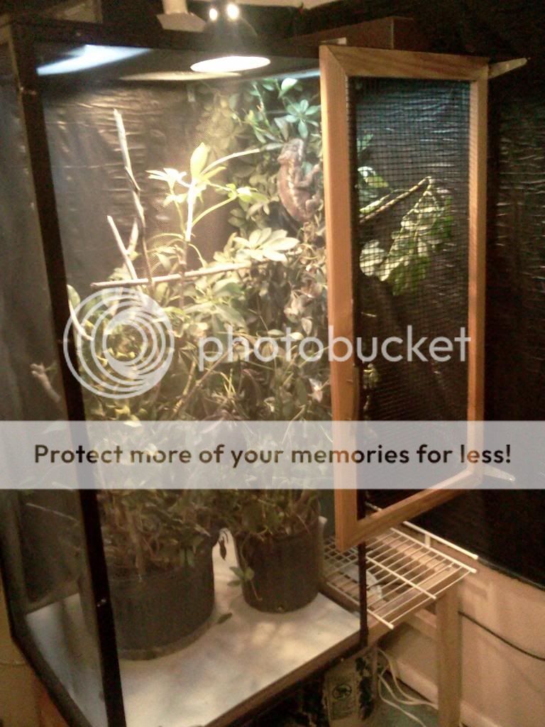 IMG115_zps12e95878.jpg