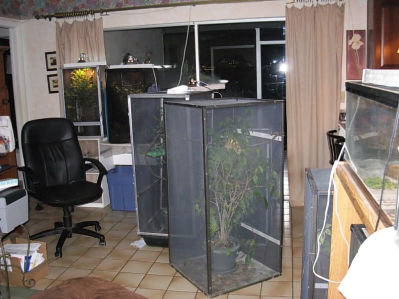 DSCN5975.jpg