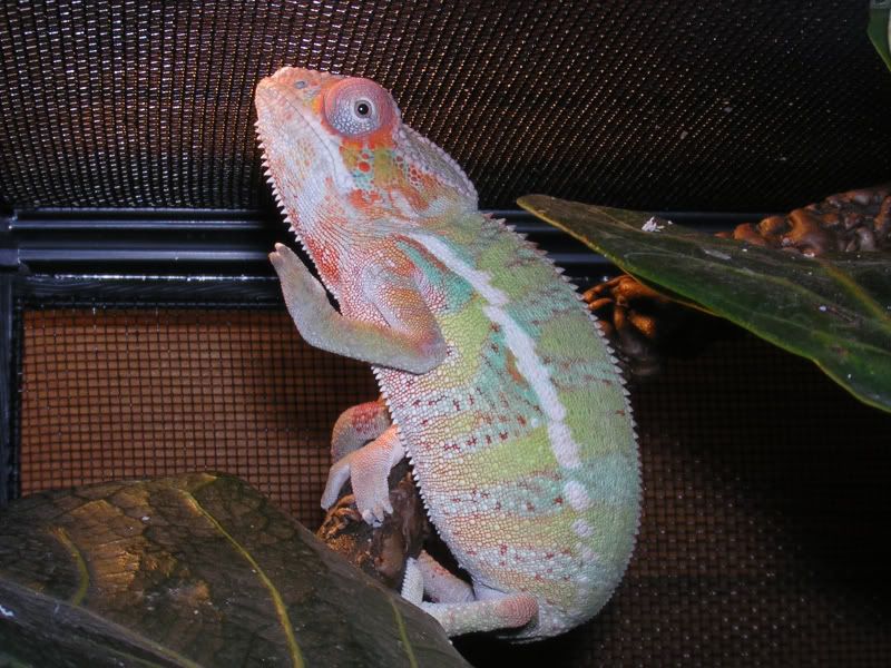 DSCN5025.jpg