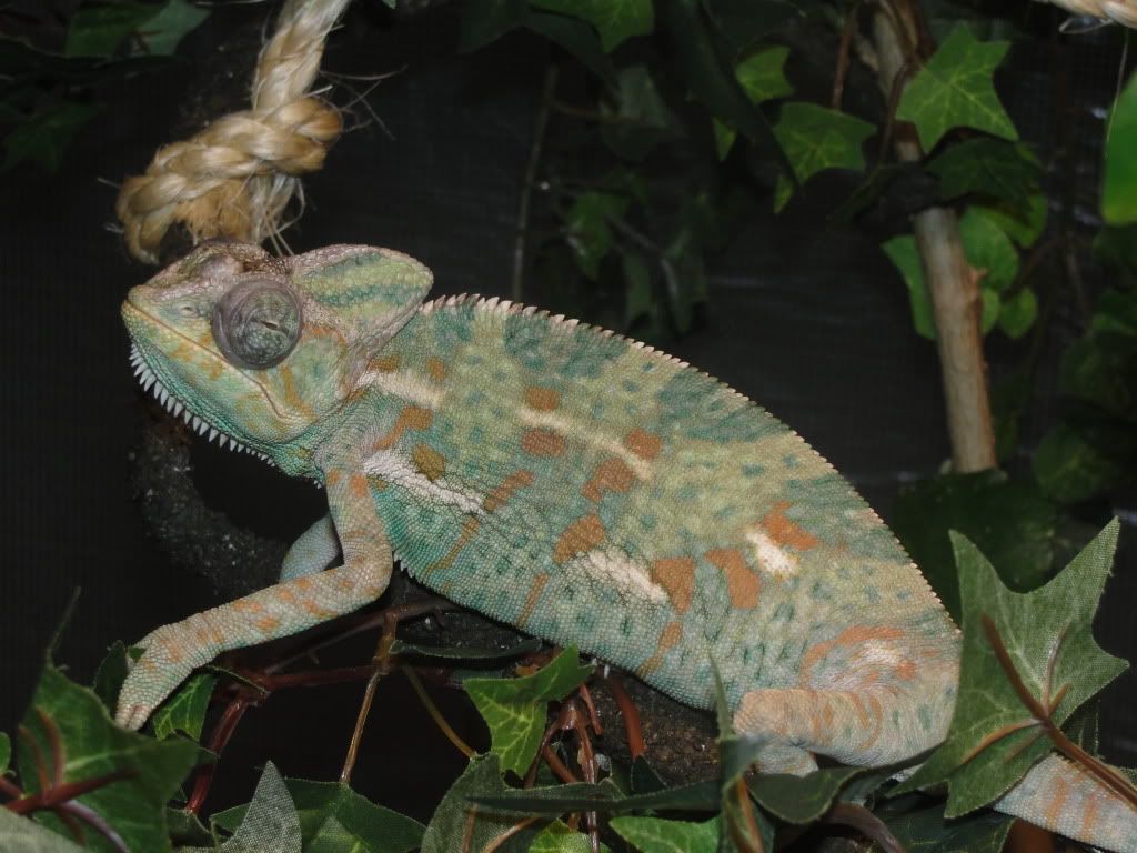 DSC00814.jpg