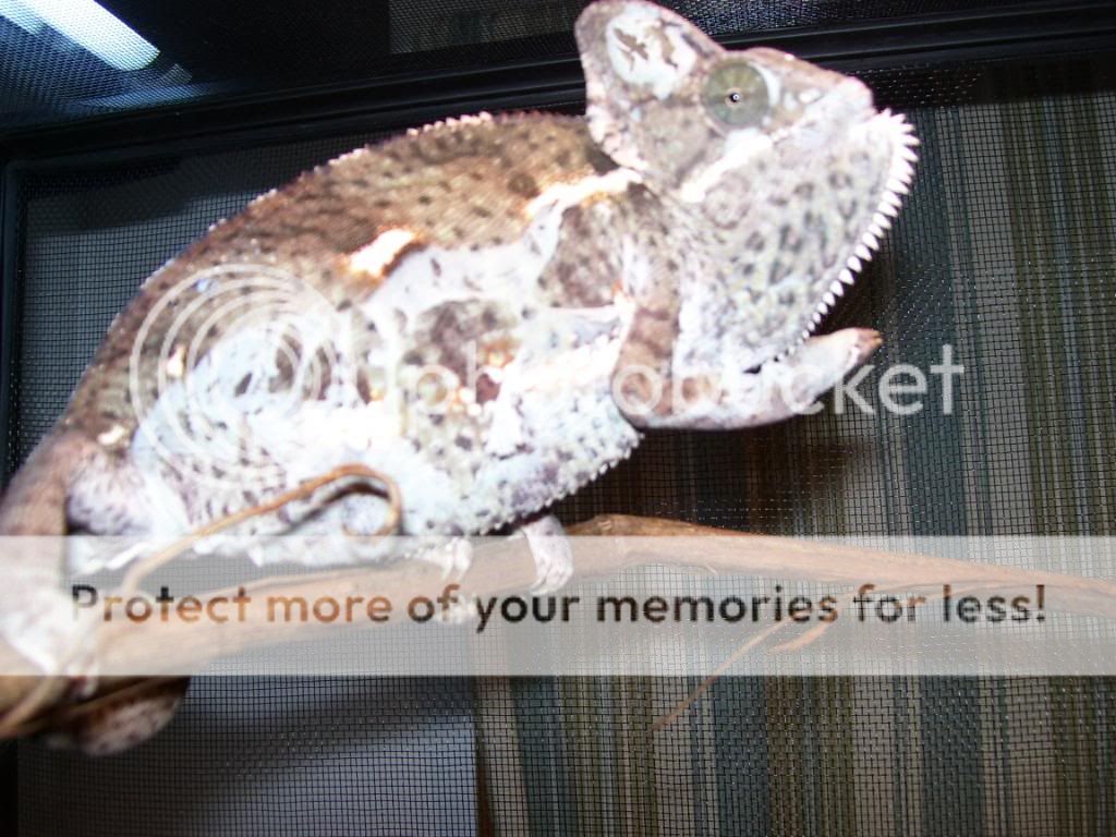 100_1164.jpg