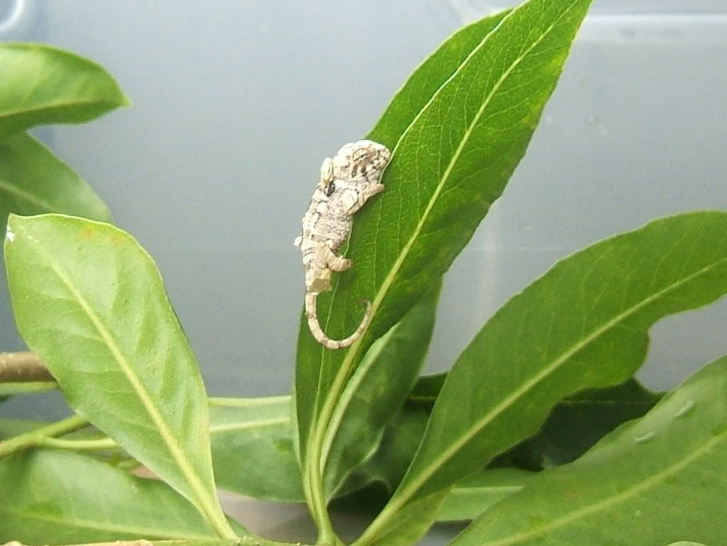 DSCF7733.jpg