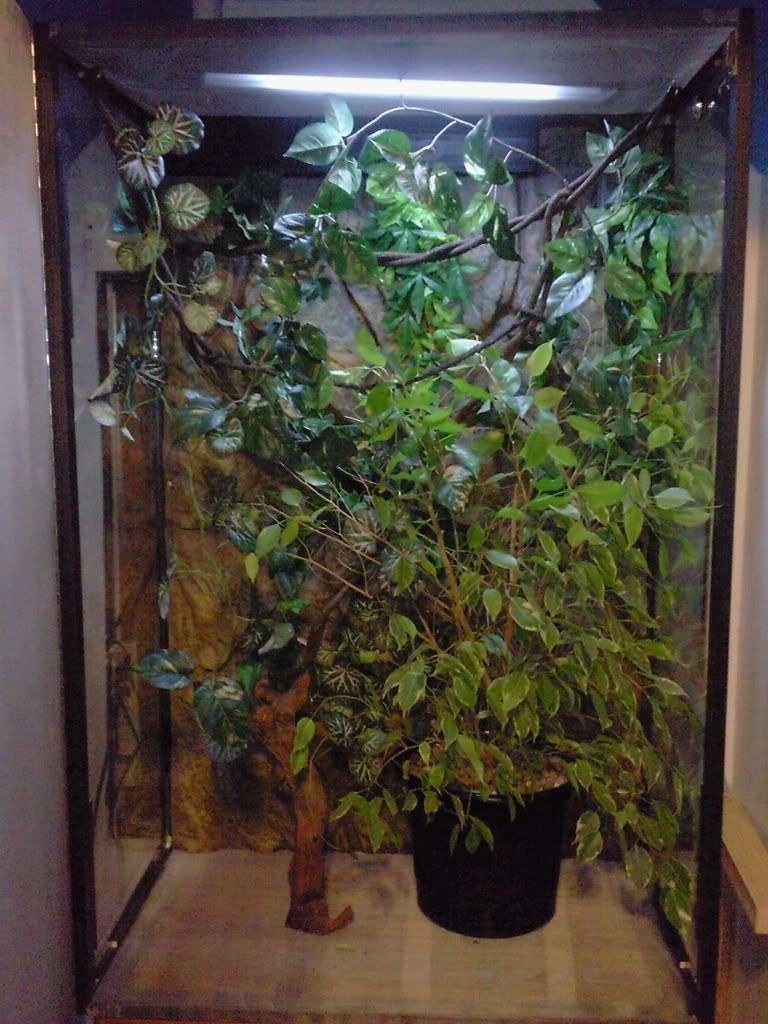 Photo0609.jpg