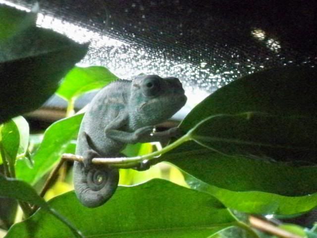 046-1.jpg