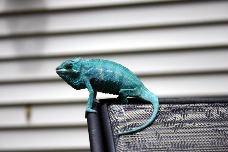 36622Nosy_Be_7-18-09.jpg
