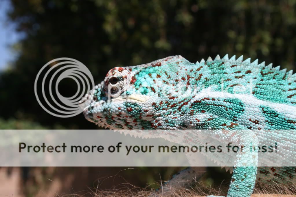 eospics9-19-09019.jpg