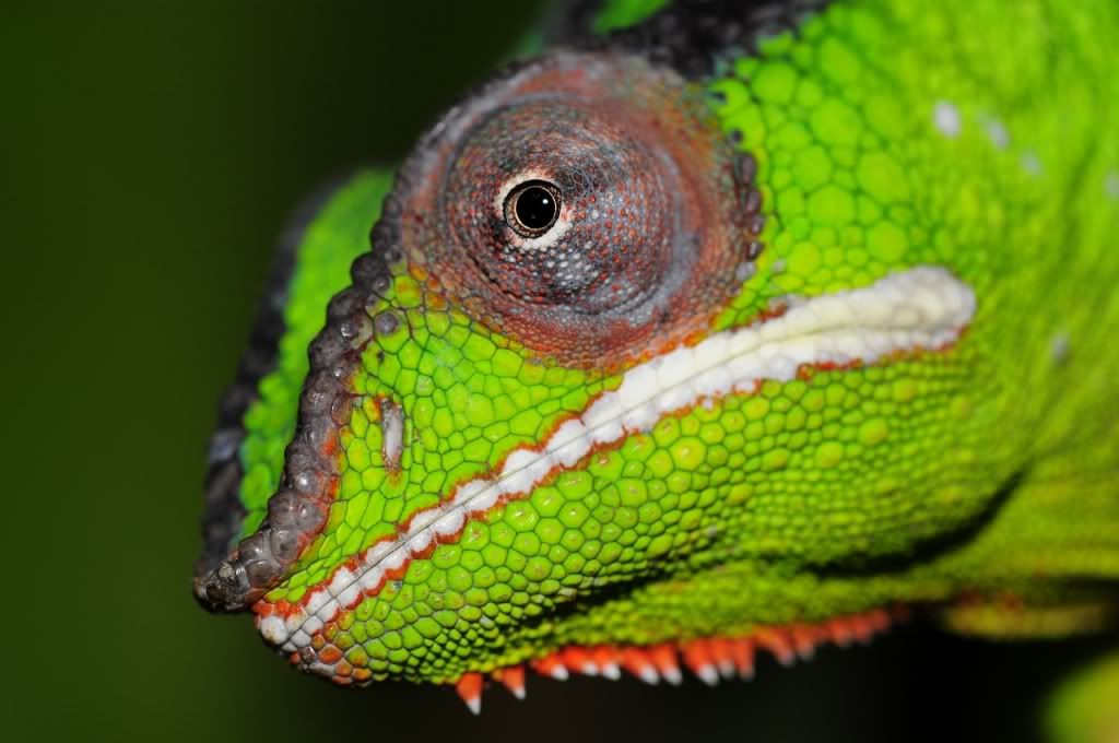 _DSC45421280x850.jpg