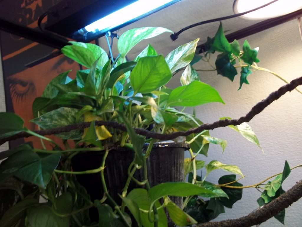 100_0071.jpg