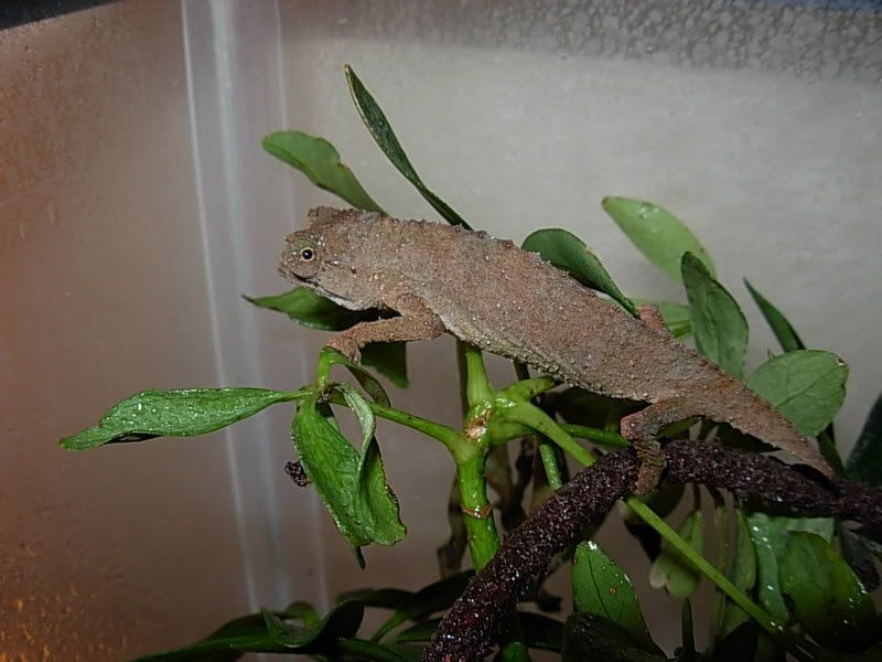 DSCN0051.jpg