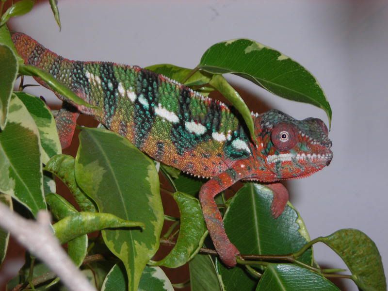 DSCN3534.jpg