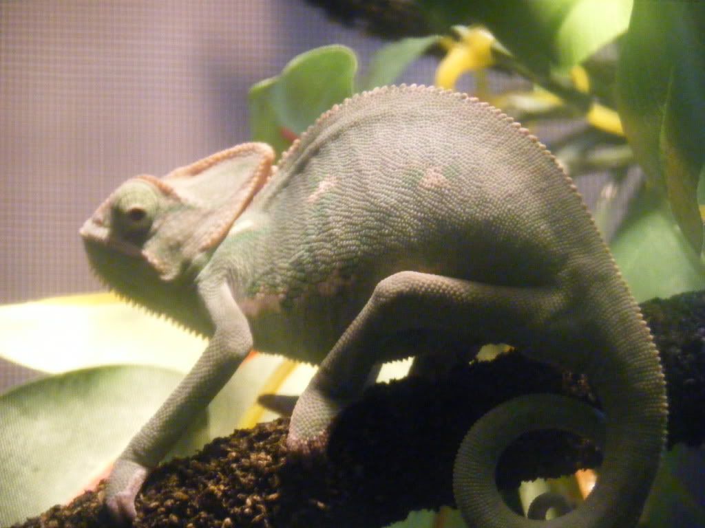 DSCF6391.jpg