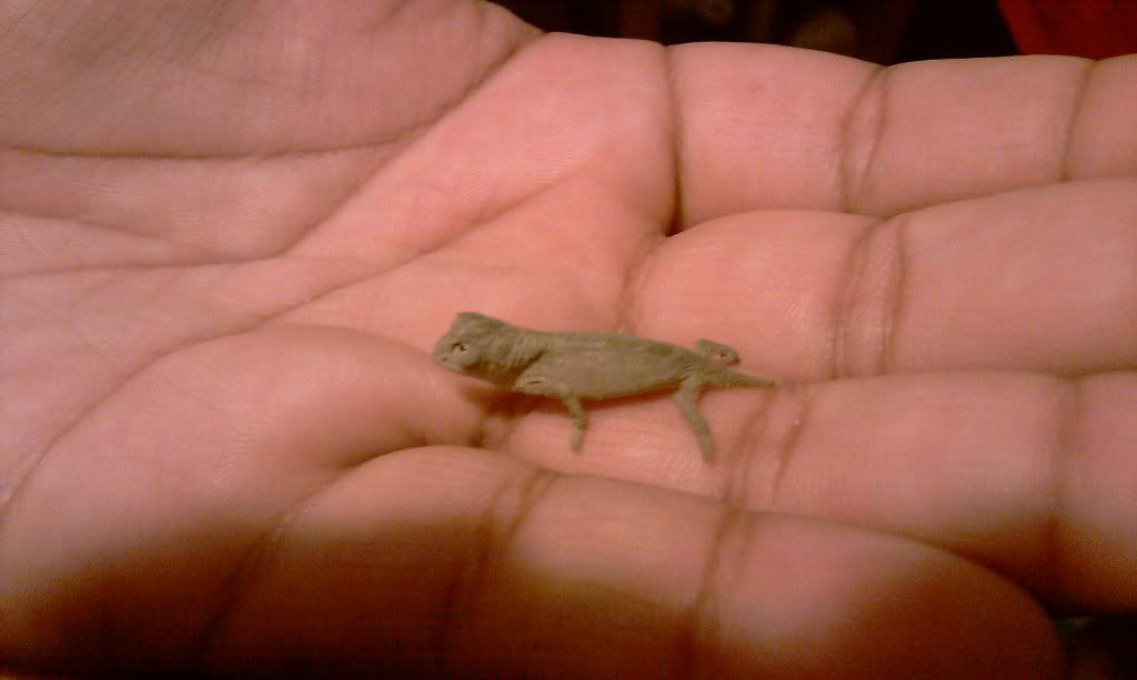 IMAG0025.jpg