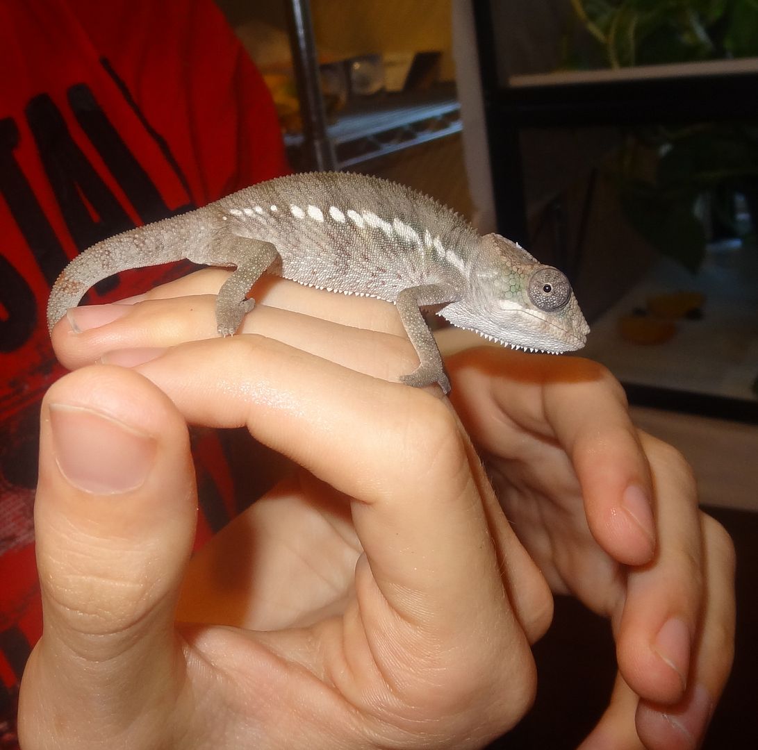 DSC058501.jpg