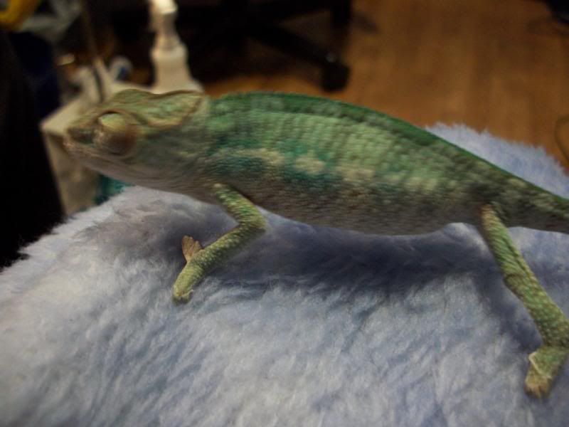 100_3018.jpg