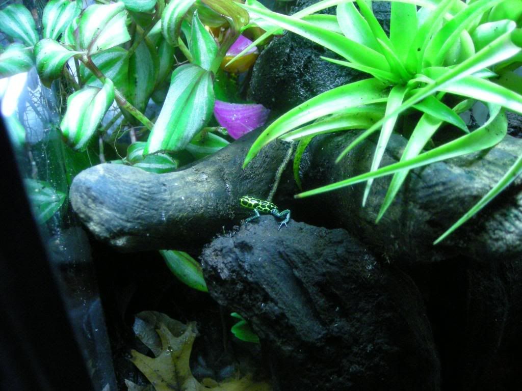 3-5-09038.jpg