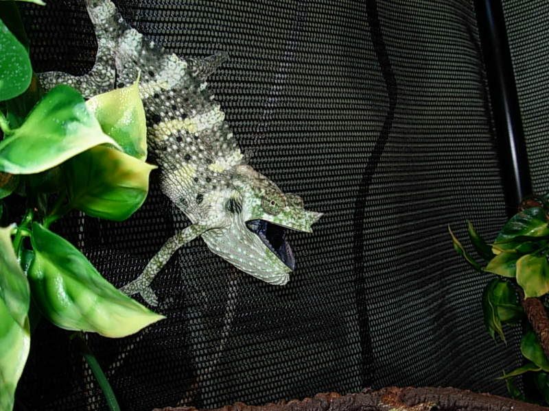 DSCN3578.jpg
