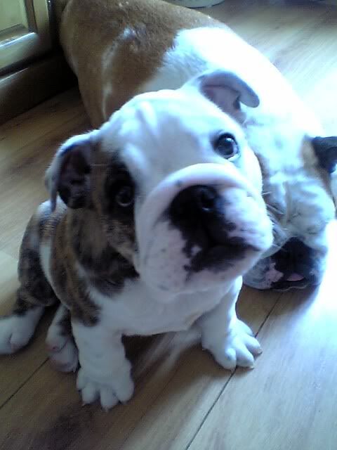 Picture090.jpg
