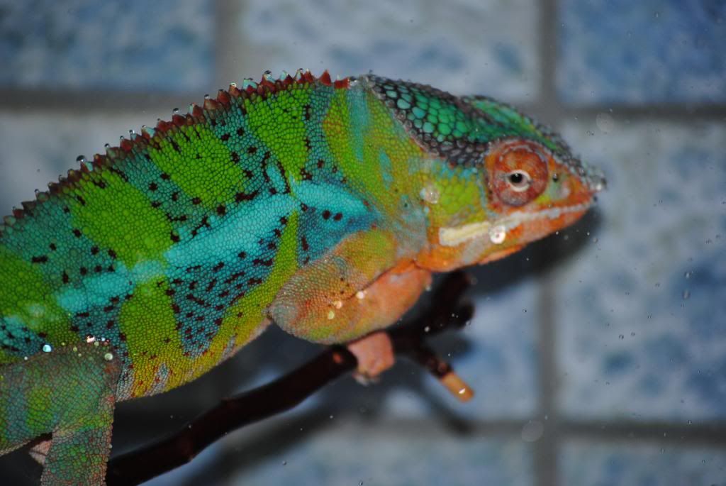 DSC_0494.jpg