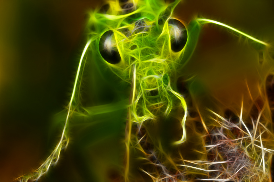 2616255672_2000e85833_o.jpg